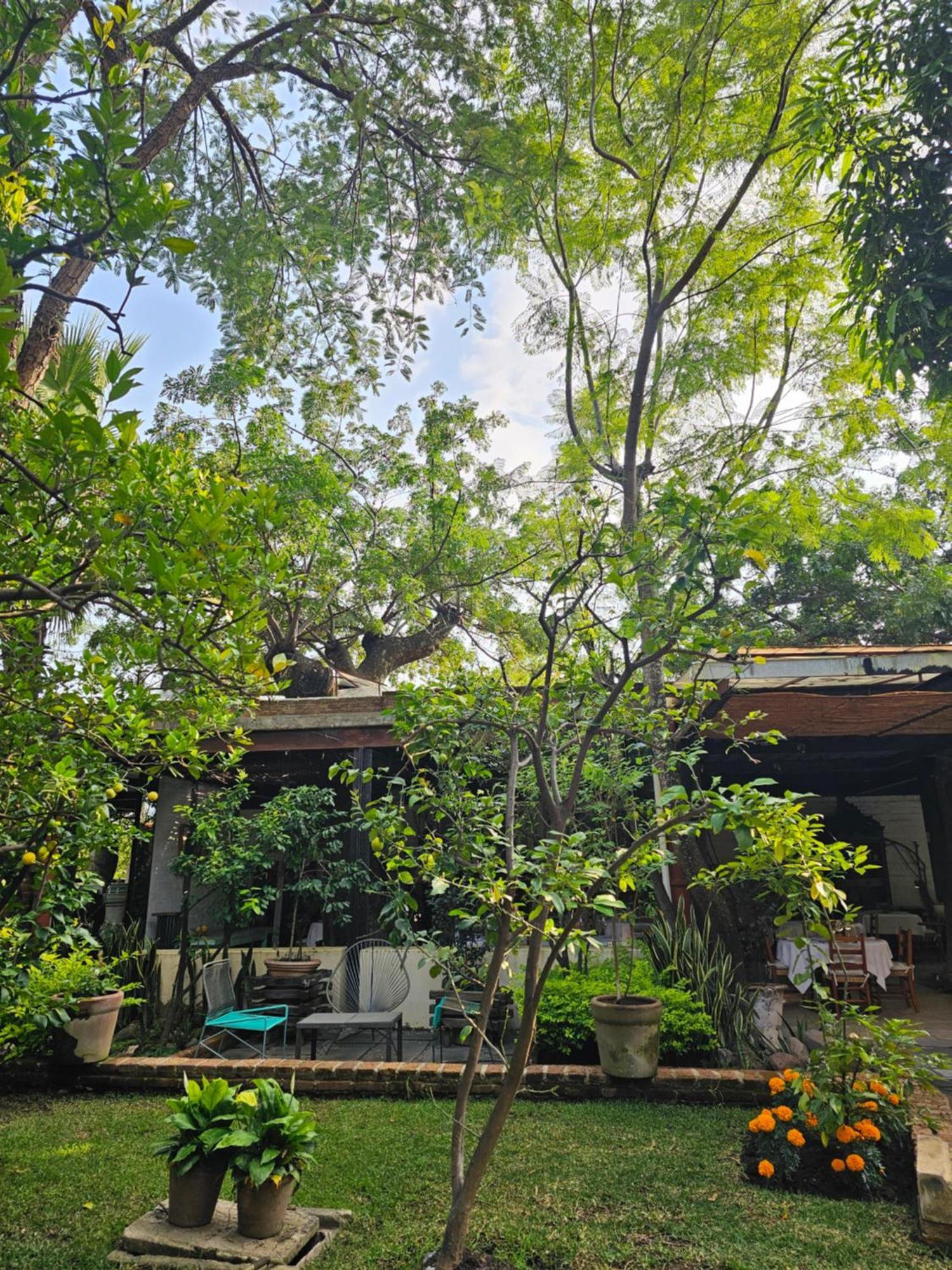 Casa Limon Malinalco酒店 外观 照片